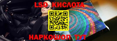 дмт Гай