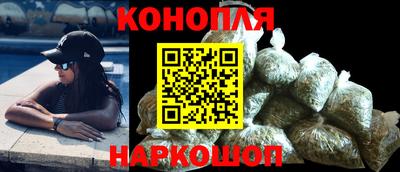 дмт Гай