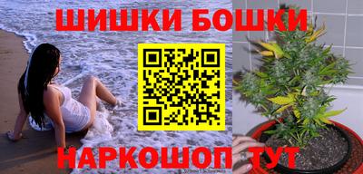дмт Гай