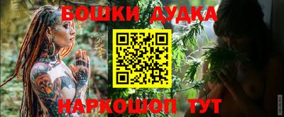 дмт Гай