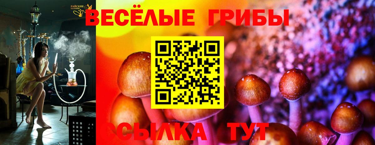 Галлюциногенные грибы мухоморы  Вход с VPN  Псилоцибиновые грибы Magic Shrooms  Нововоронеж 